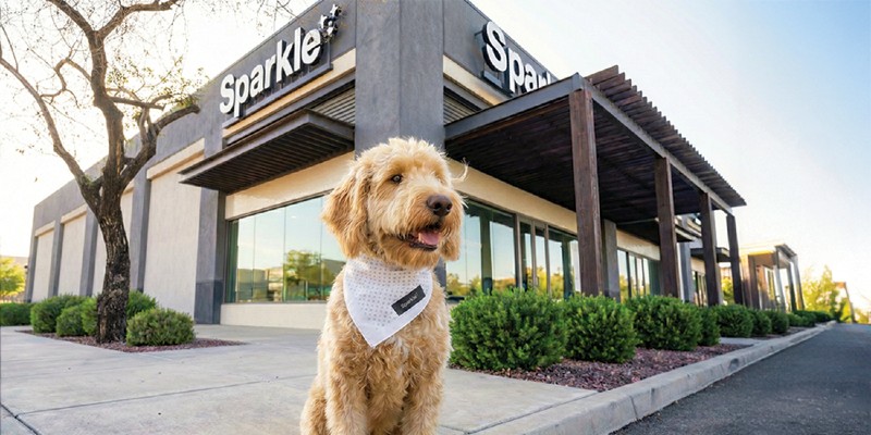 Sparkle Grooming Franchise opportunities DFW